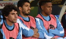 九游娱乐首页-成都谢菲联主场不敌北京人和，遭遇两连败的简单介绍