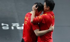 九游娱乐网站-奥地利队险胜日本队，樊振东关键制胜的简单介绍