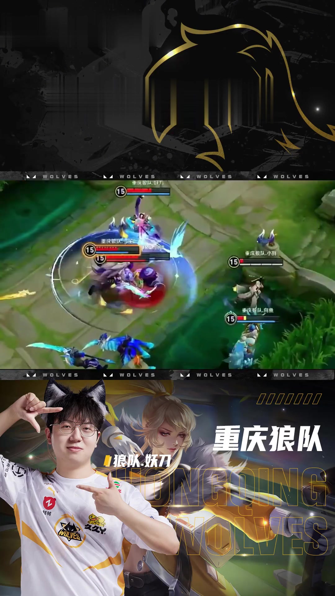 重庆狼队击败浙江猛虎队，后劲十足的简单介绍