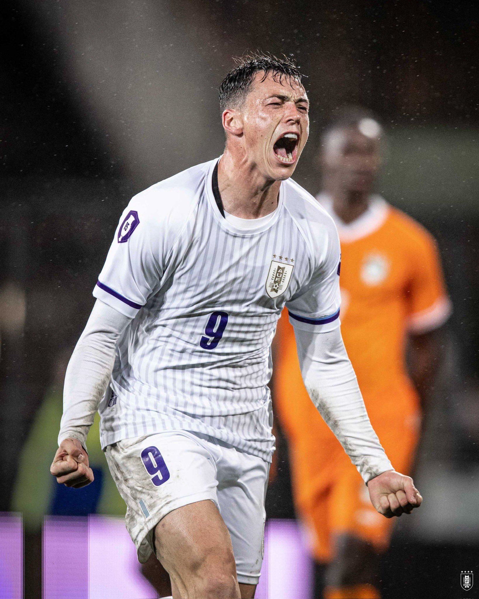 关于乌迪内斯主场小胜，展现出坚韧的实力的信息