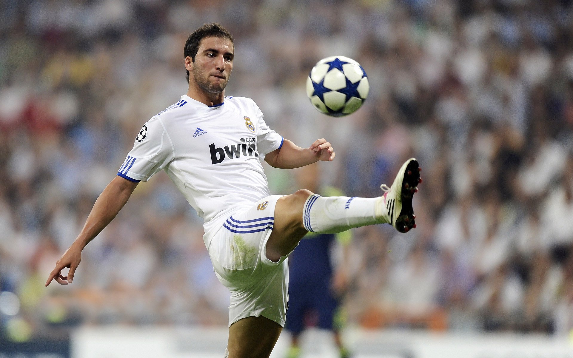 欧冠半决赛的战术启示,从加拿大速胜卡塔尔看现代足球的闪电战哲学