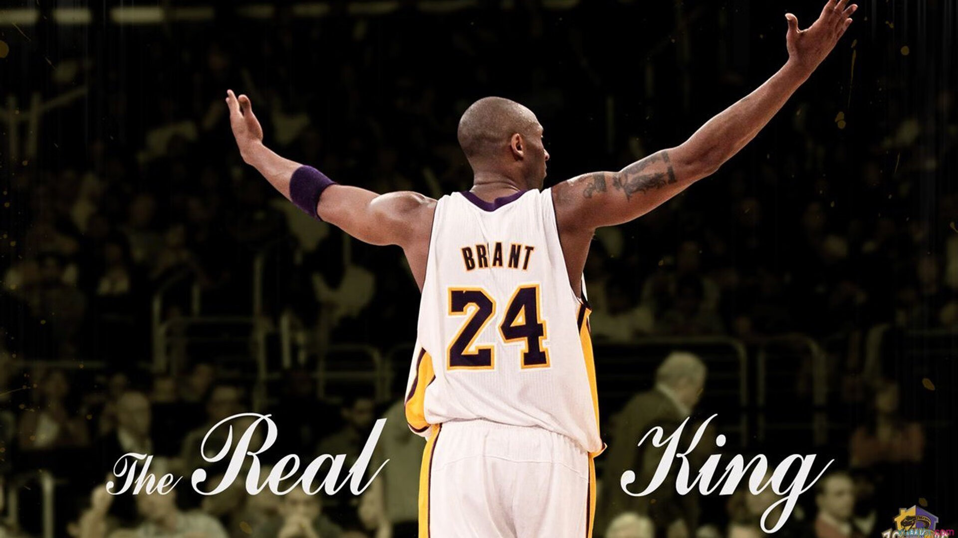 东决关键战之夜,范戴克刷新纪录